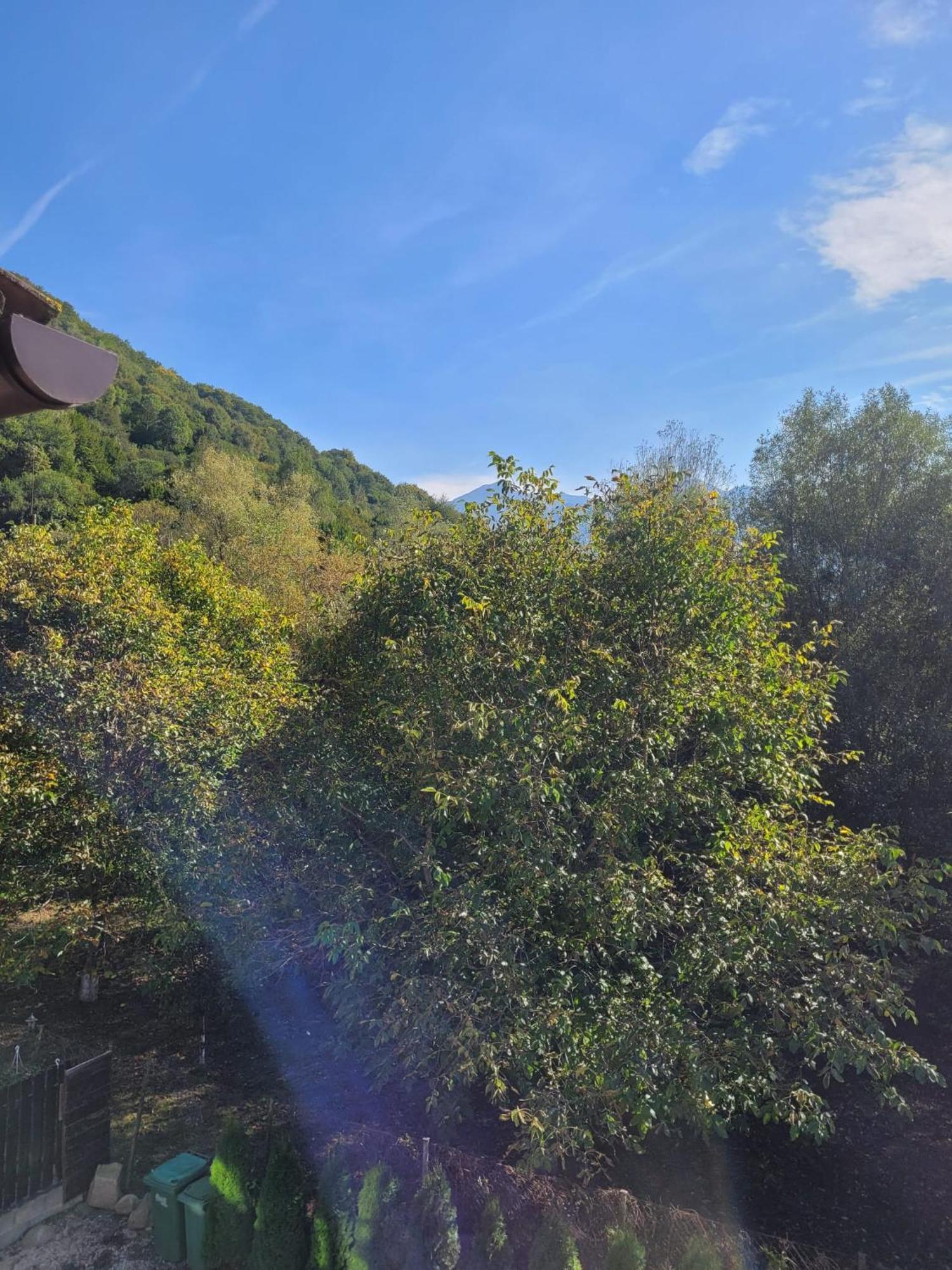 Vila Emma Rîşnov Dış mekan fotoğraf