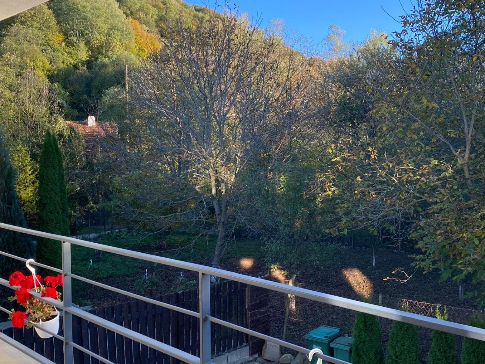 Vila Emma Rîşnov Dış mekan fotoğraf