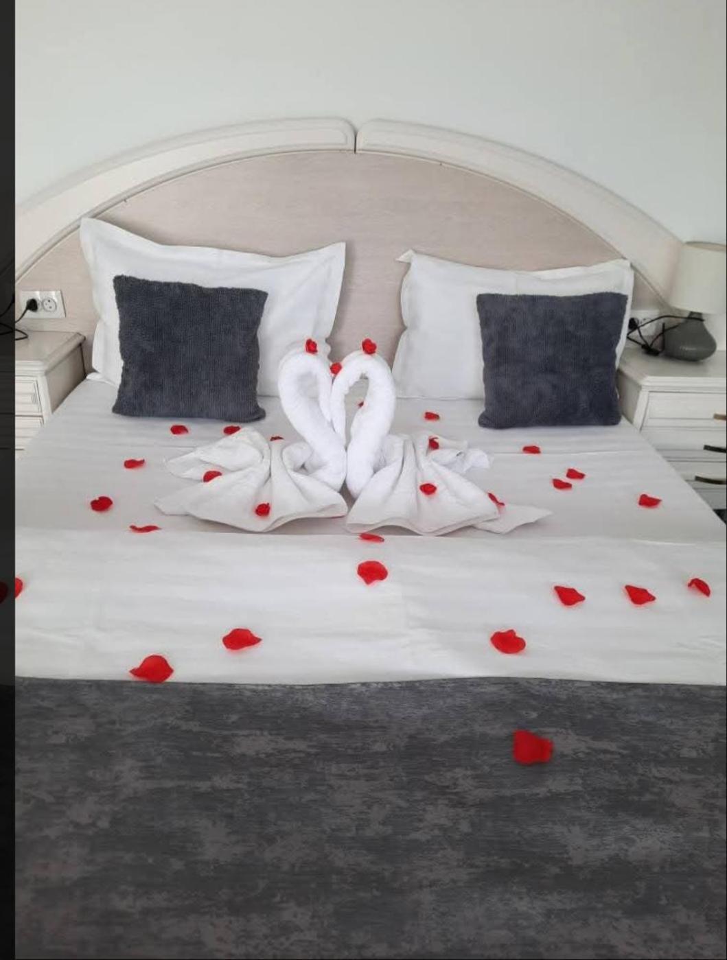 Vila Emma Rîşnov Dış mekan fotoğraf