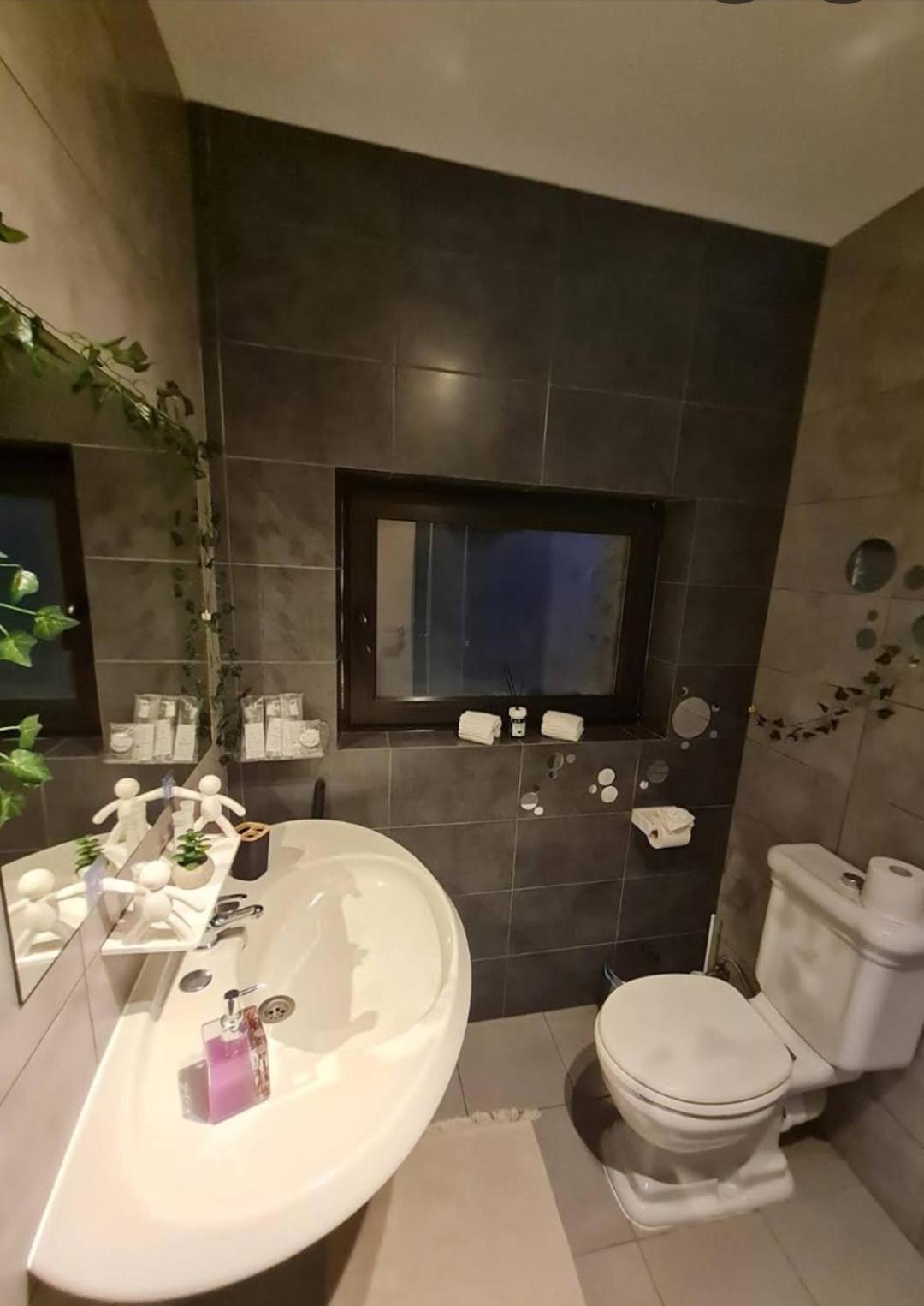 Vila Emma Rîşnov Dış mekan fotoğraf